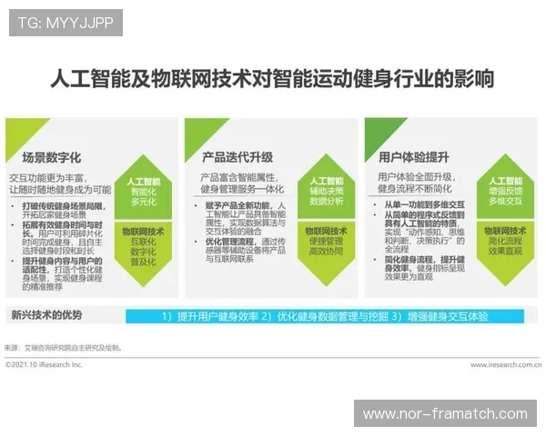 B体育网页版如何优化用户体验，提升操作便捷性与界面美观度