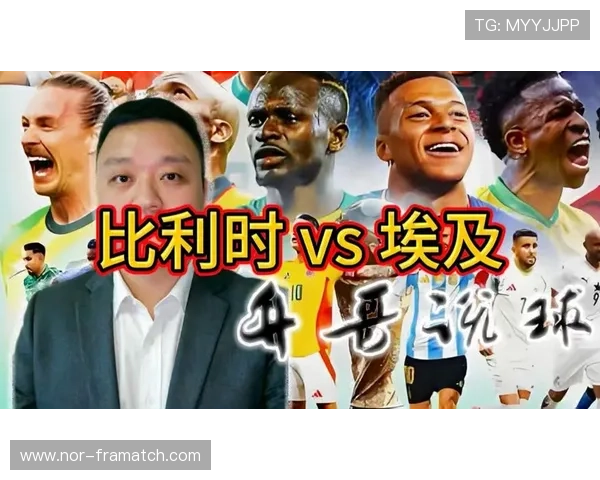 世界杯埃及VS比利时比赛中犯规次数对比及影响分析